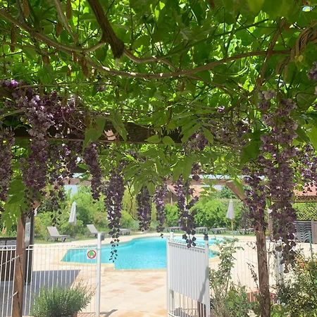 Du Glamping Entre Albi Et Tououse Camping Brens (Tarn)